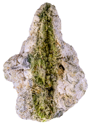 Lemon Gelato Cherry